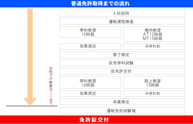 普通免許取得までの流れ